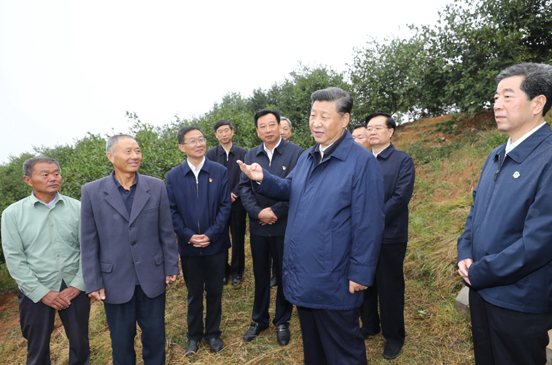 　　9月16日至18日，中共中央總書記、國家主席、中央軍委主席習(xí)近平在河南考察。這是17日上午，習(xí)近平來到信陽市光山縣槐店鄉(xiāng)司馬光油茶園，同正在勞作的村民和管理人員交流。 新華社記者 鞠鵬 攝