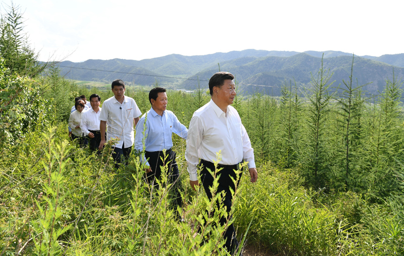 7月15日至16日，中共中央總書記、國(guó)家主席、中央軍委主席習(xí)近平在內(nèi)蒙古考察并指導(dǎo)開(kāi)展“不忘初心、牢記使命”主題教育。這是15日下午，習(xí)近平在赤峰市喀喇沁旗馬鞍山林場(chǎng)林區(qū)，沿著崎嶇的護(hù)林小道察看林木長(zhǎng)勢(shì)。